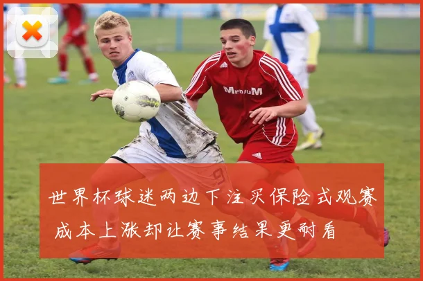 世界杯球迷两边下注买保险式观赛 成本上涨却让赛事结果更耐看