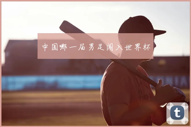 中国哪一届男足闯入世界杯